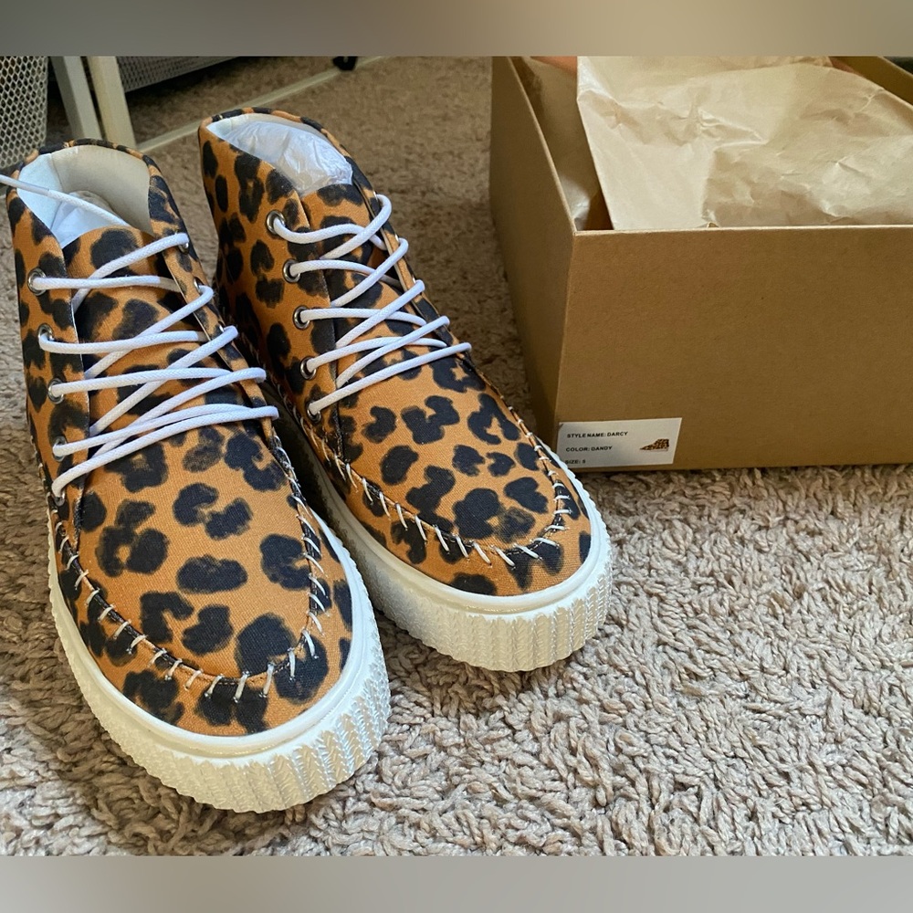 Charlotte stone Darcy